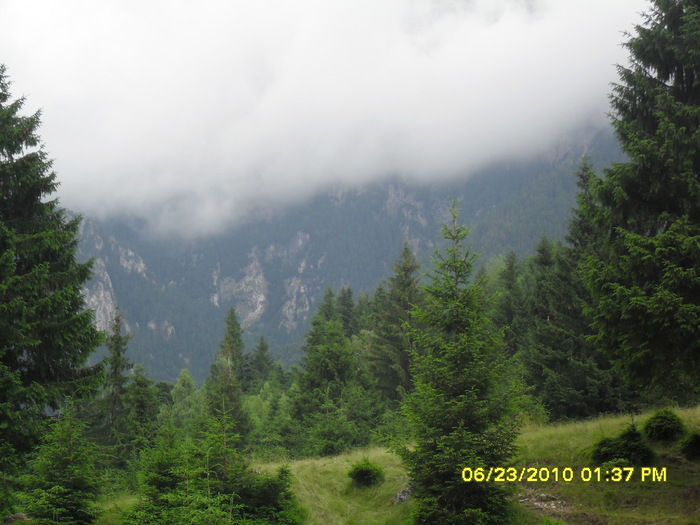 SDC12073; piatra craiului
