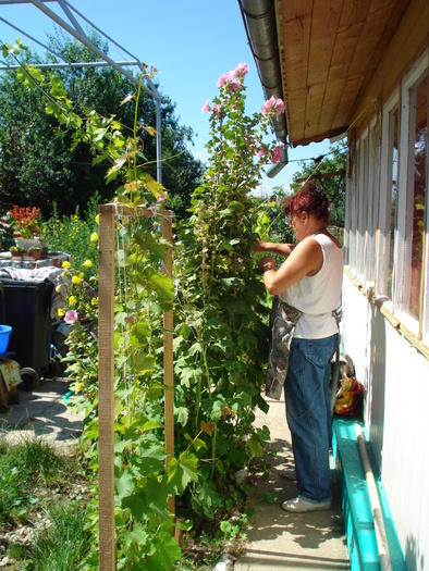 MAMA,LEAGA NALBA - CRACIUN IN AUGUST