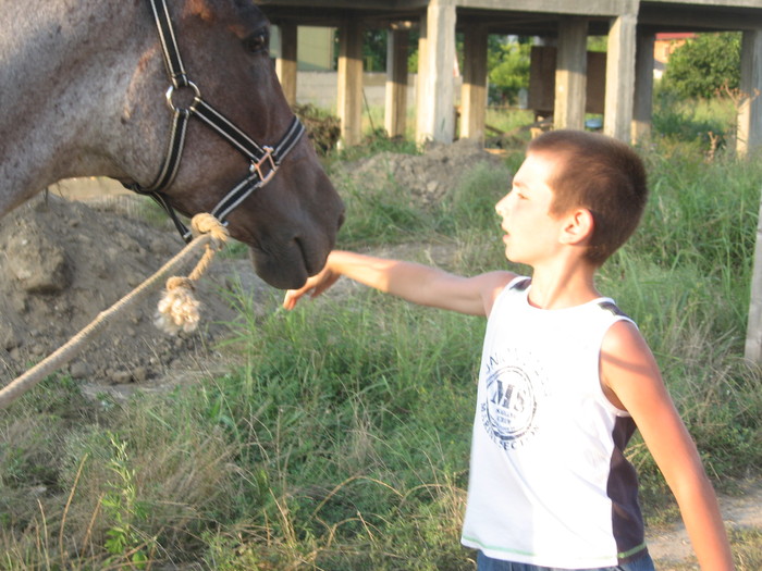 Constanta-31.07.2010