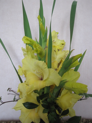 Aranjament gladiole galbene 13 aug 2010
