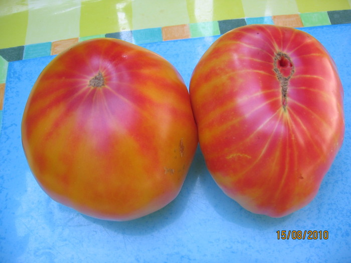 IMG_2540 - Tomate