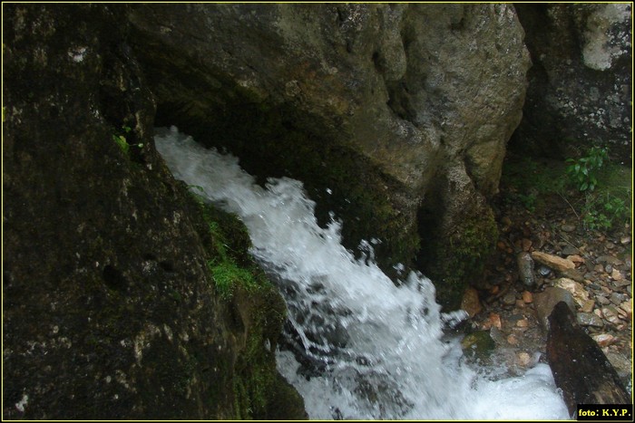 DSC08450 - Cheile Butii