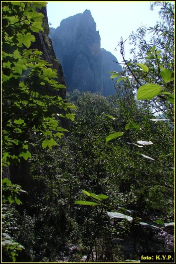 DSC07769 - Cheile Turzii - august 2010