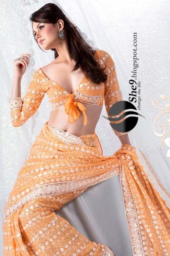 Fancy Saree Collection www_She9_blogspot_com (19)