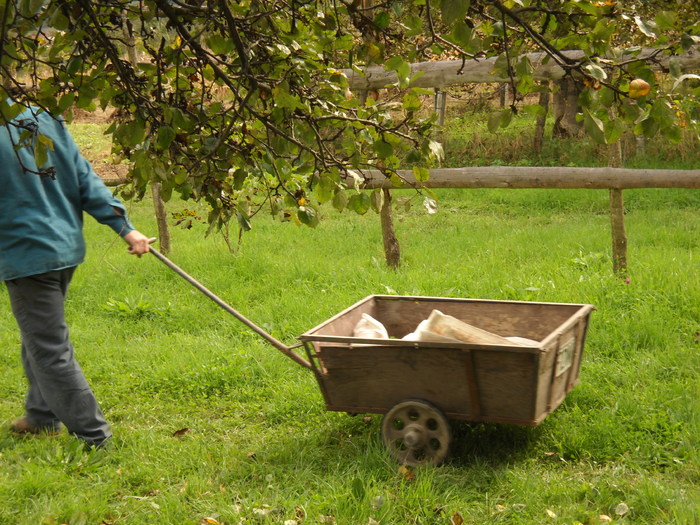 Transportor..de ...un cal putere