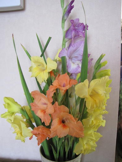 Aranjament gladiole 23 aug 2010