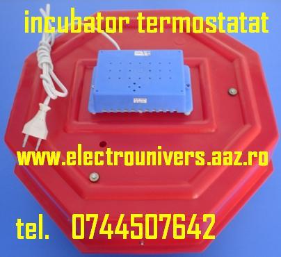 incubator oua; incubatoare oua Cleo www.electrounivers.com
