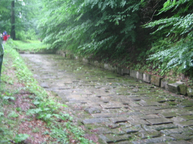 IMG_1154; Drum pavat cu blocuri de piatră
