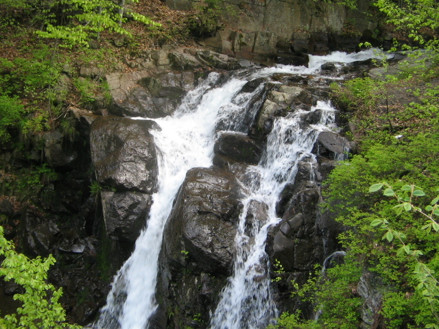 IMG_0048; Cascada Valea Neagră
