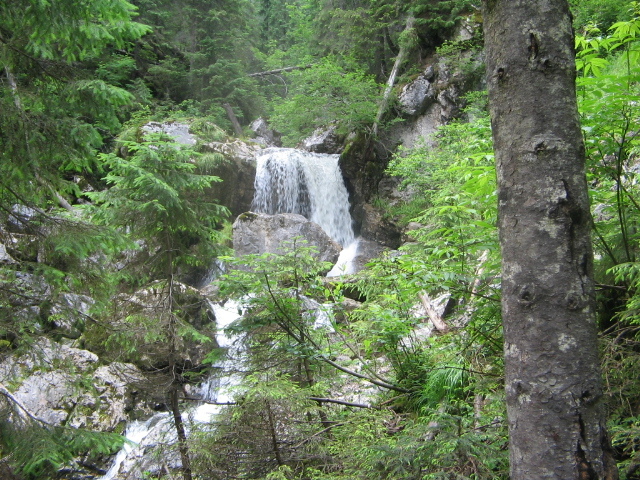 IMG_0155; Vizitarea dolinelor prin partea lor inferioară
