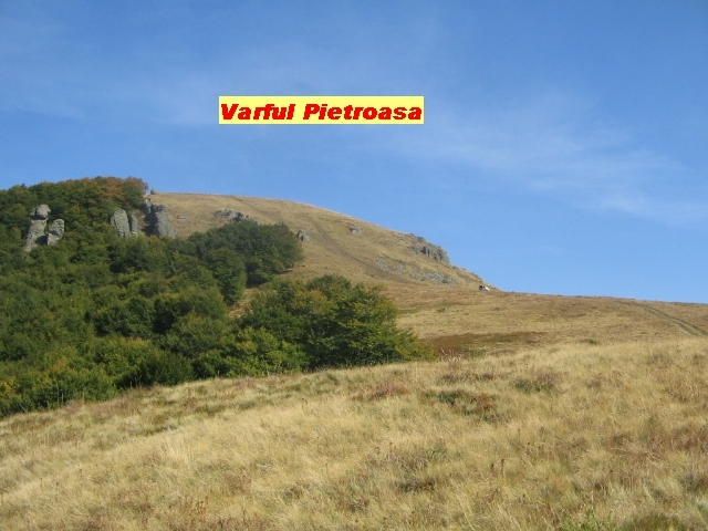 IMG_1549; Varful Pietroasa 1212 m
