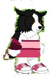 border collie webkinz