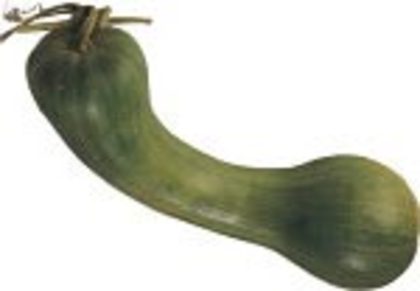 Tahitian Butternut