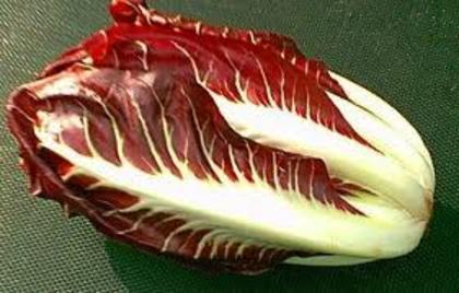 Radicchio Trevigiano