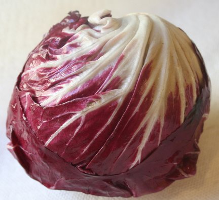 Radicchio Tondo