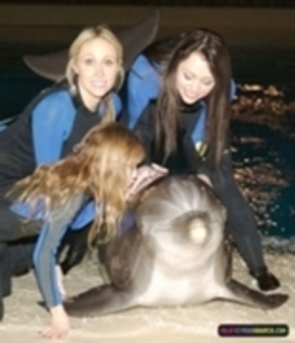 Dolphin Trainer for a Day Program at the Siegfried and Roy Secret Garden (1)