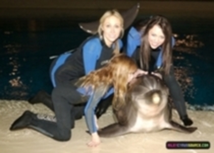 Dolphin Trainer for a Day Program at the Siegfried and Roy Secret Garden (3)
