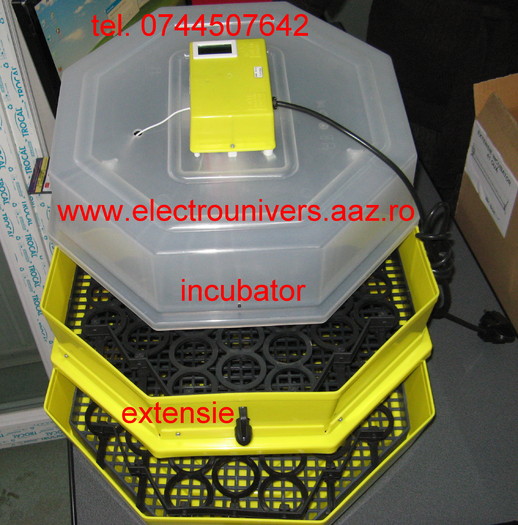 incubator oua; incubatoare oua Cleo www.electrounivers.com
