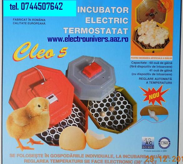 incubator oua; incubatoare oua Cleo www.electrounivers.com
