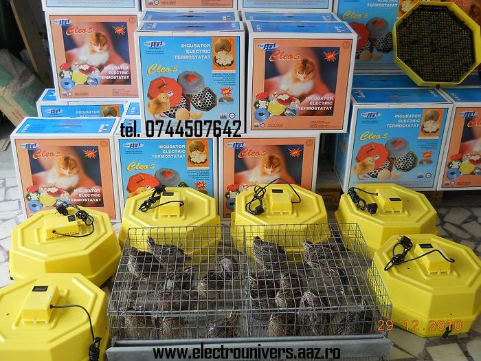 incubator prepelite; Vand incubatoare electrice pentru oua de incubat tel. 0744507642. Trimit in  tara prin curier incuba
