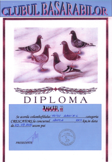 diploma 3