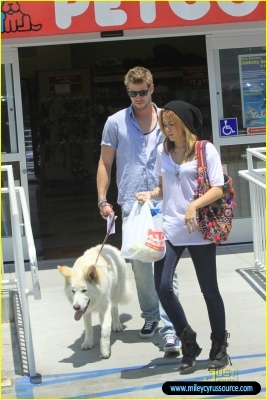 normal_miley-cyrus-liam-hemsworth-petco-11