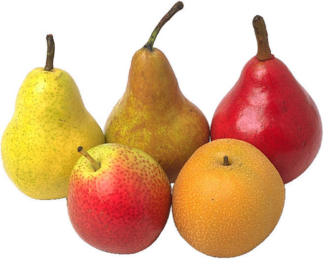 assortmentofpears