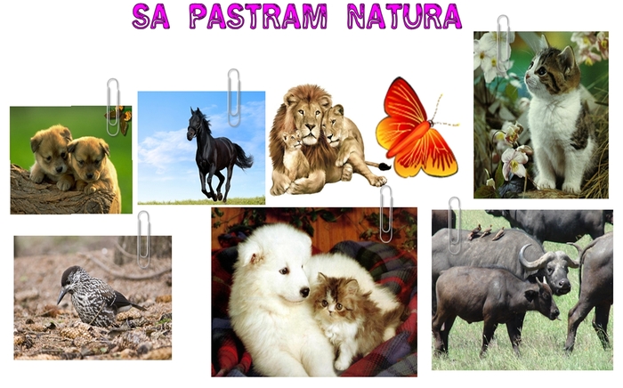 Postere Sa Pastram Natura