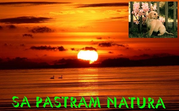 Postere Sa Pastram Natura