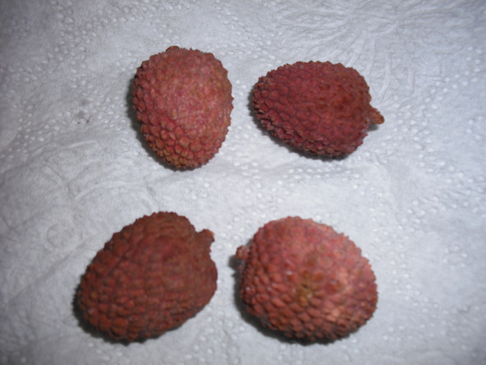 fructe litchi