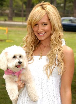 re67u - ASHLEY TISDALE