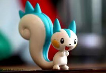 pachirisu-bdpokemon