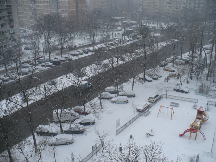 P1320726 - Iarna in Bucuresti 2011 feb 22