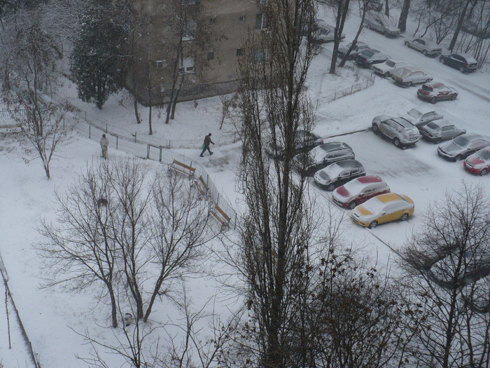 P1320727 - Iarna in Bucuresti 2011 feb 22