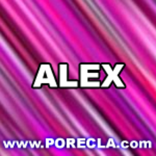 107-ALEX cu roz mare