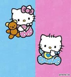 Hello Kitty twins