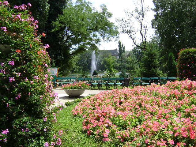 DSC02360 - PARCUL CISMIGIU