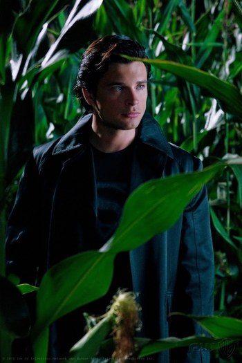 Tom (2) - Tom Welling