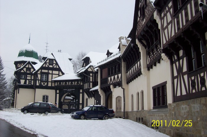 101_7929 - SINAIA in iarna anului 2011