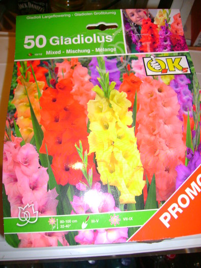 un pachet de 50 de gladiole