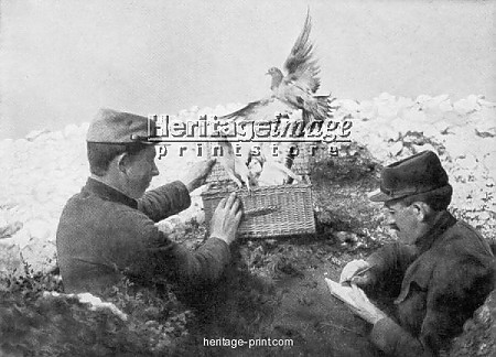 messenger-pigeons-being-released-at-the-front-line-world-war-i-1915_1226645