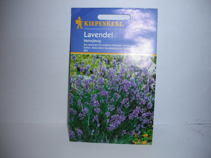 Lavanda