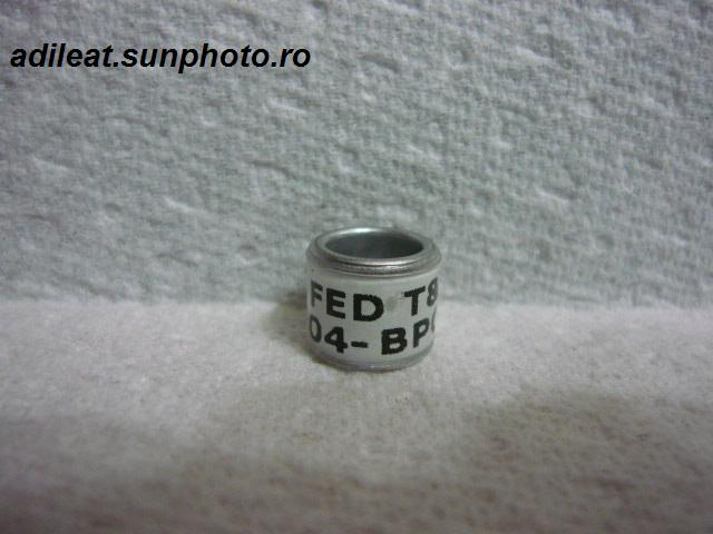 ARGENTINA-2004-FED - ARGENTINA-FCA-ring collection