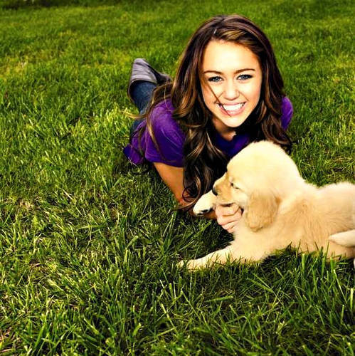 XSUSMPEQSEYIAKNSXDG - Miley sh catelusii ei