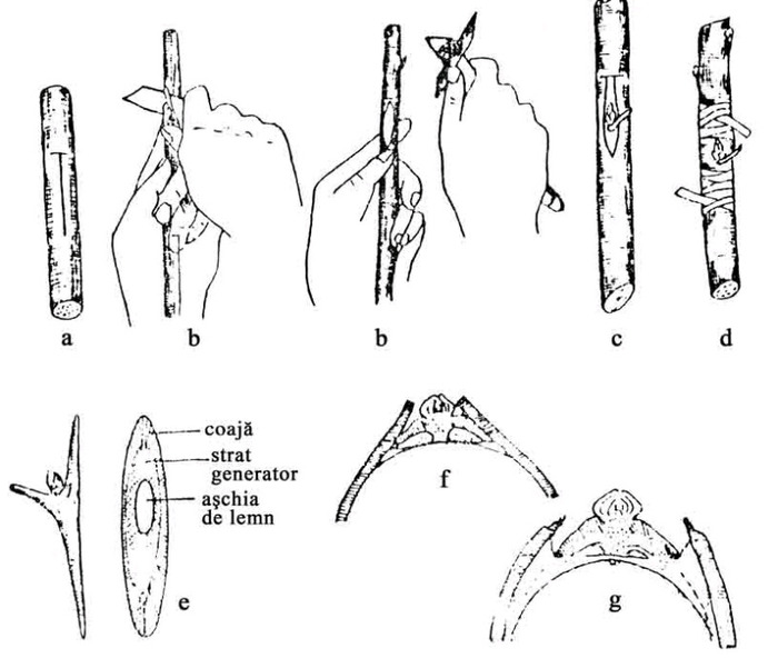 tehnica altoirii