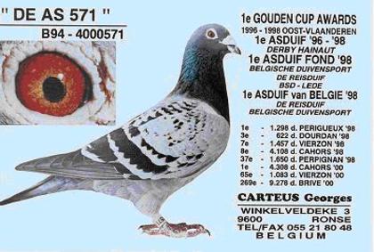 Carteus-foto-14 - porumbei originali