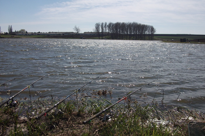 cel mai bun loc(la plopi); este cam vant si rece(25.04.2011) dar pe balta se prinde ciortan.
