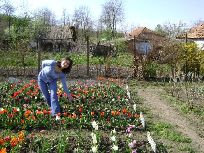 DSC01129 - Gradina lui Vio -  Dobroslovesti-Vaslui