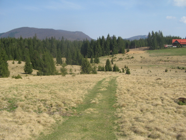 IMG_3936; Spre cheile Tătarului, cca. 10 km
