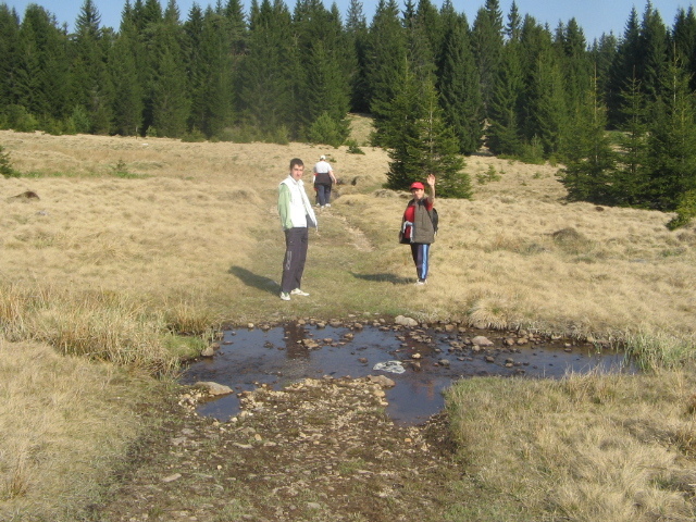 IMG_3937; Spre Cheile Tătarului
